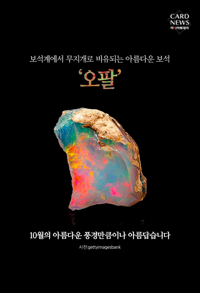 카드 뉴스 이미지
