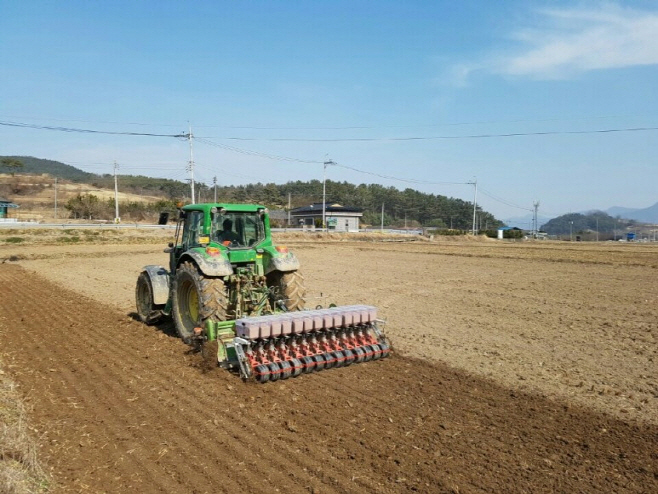 무안군
