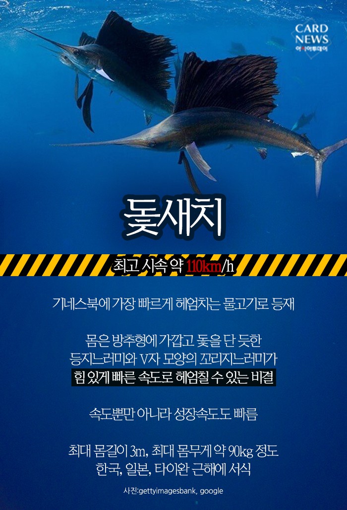 카드 뉴스 이미지
