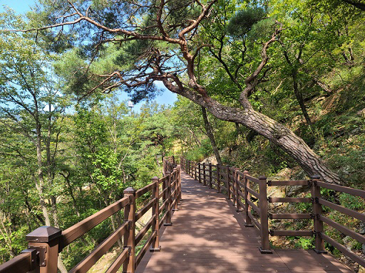 제천치유의숲