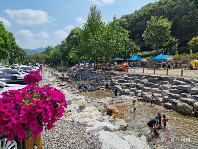청학밸리리조트(여름)