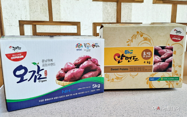‘태안명품 호박고구마’ 온라인 쇼핑몰 판매 개시