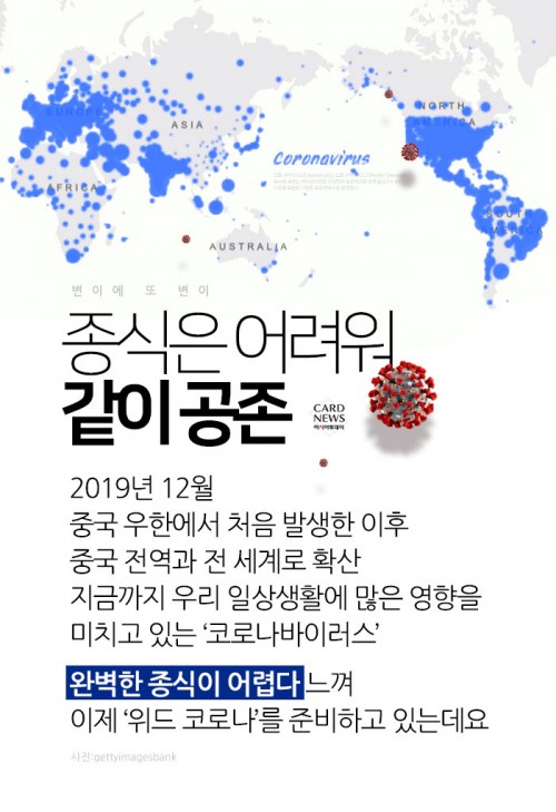 카드 뉴스 이미지