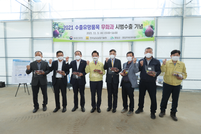 무화과 수출