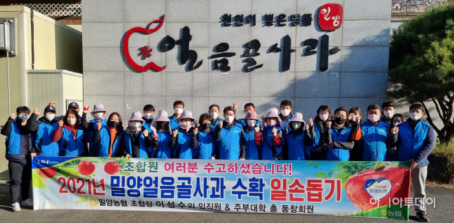 사본 -(밀양농협)사과수확 일손돕기 사진_11월19일