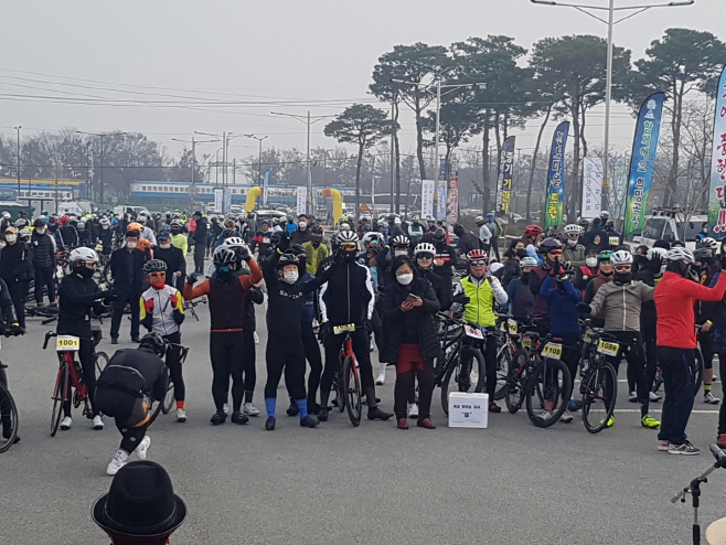 전남도
