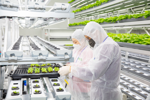 스마트팜 교육사진 2