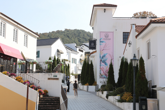 전남도