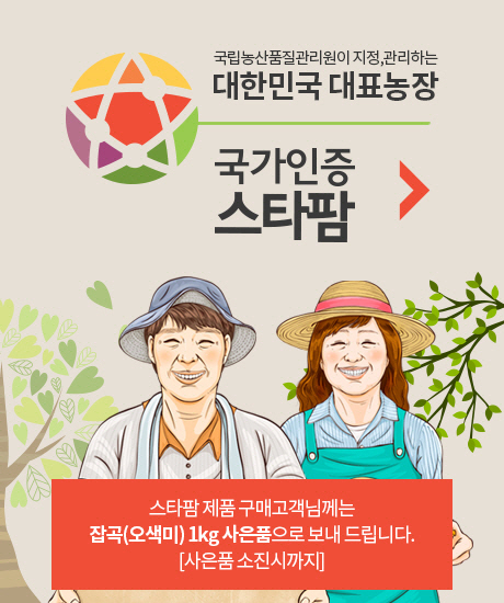 전남도