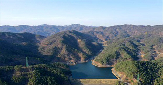 신림