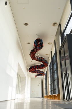 구명조끼 뱀(Life Vest Snake), 2019