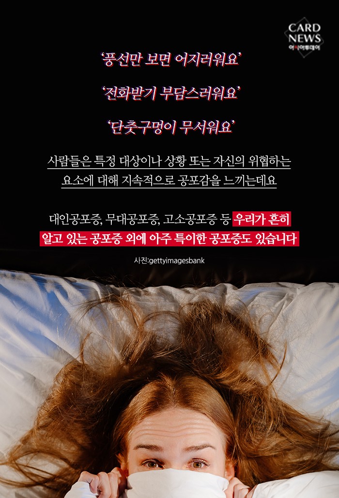 카드 뉴스 이미지