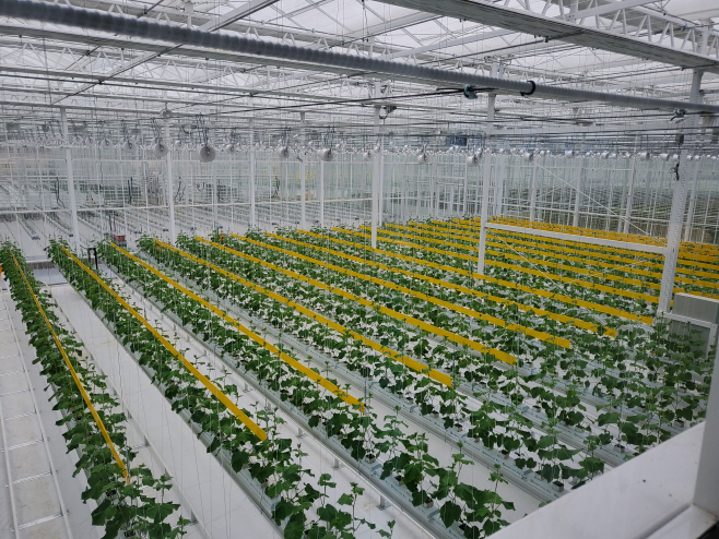 김제 스마트팜혁신밸리