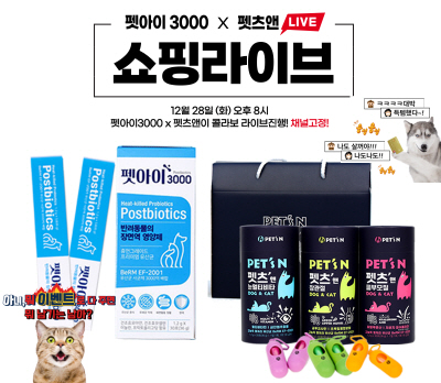베름일화 콜라보라이브
