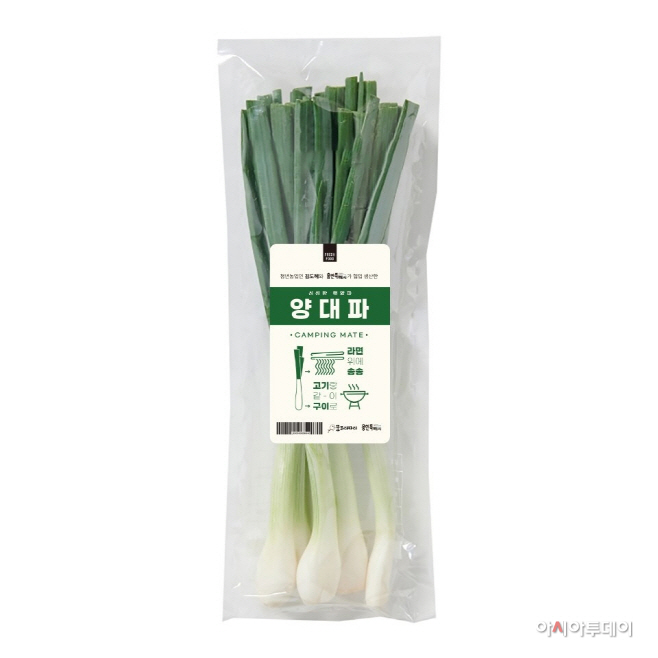 양대파