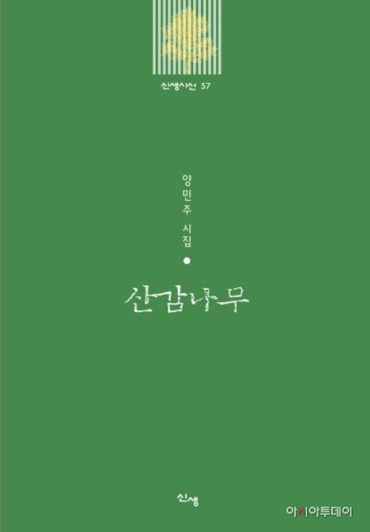 산감나무