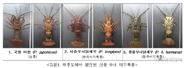 화면 캡처 2022-01-20 131608