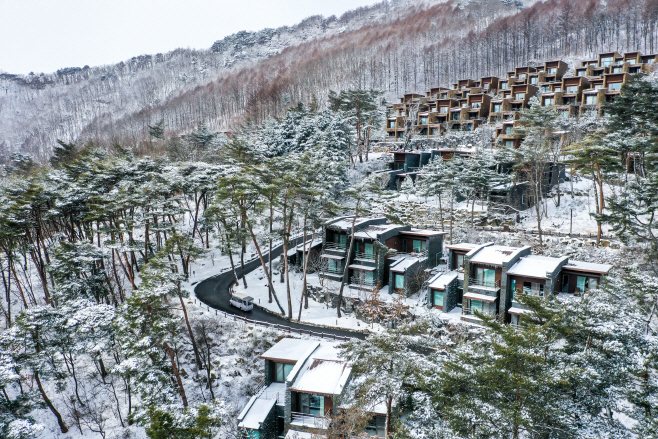 사본 -1.포레스트 리솜