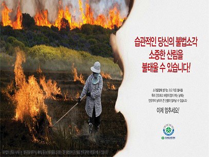 대전산불