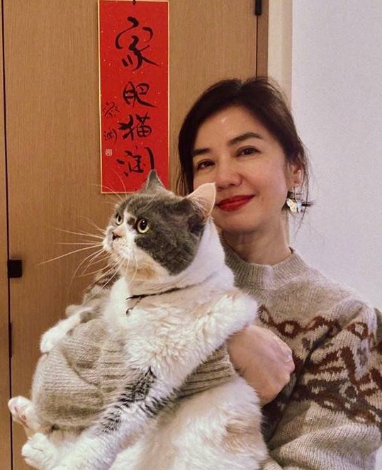 중추훙