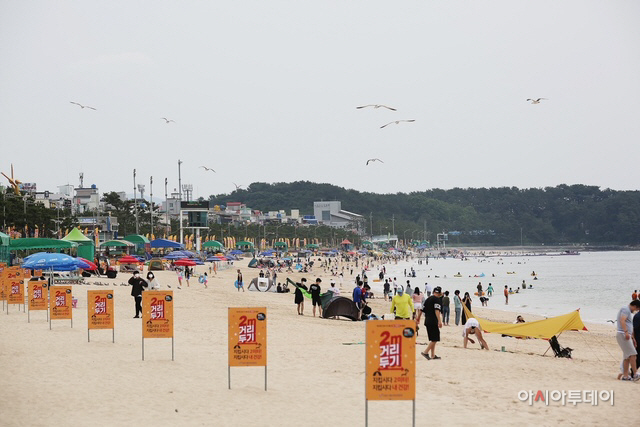 1. 2021년 개장기간 대천해수욕장 전경