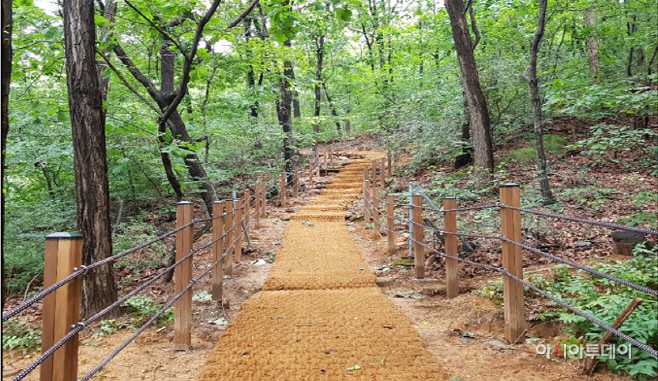 숲길정비 1