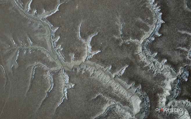 DJI_0535