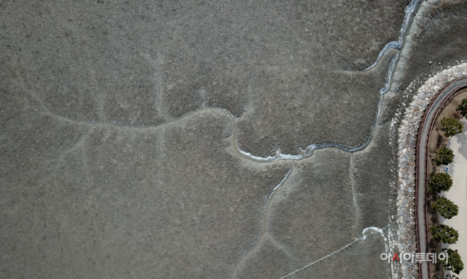 DJI_0517