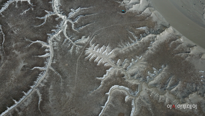 DJI_0531