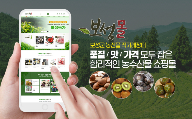 보성군
