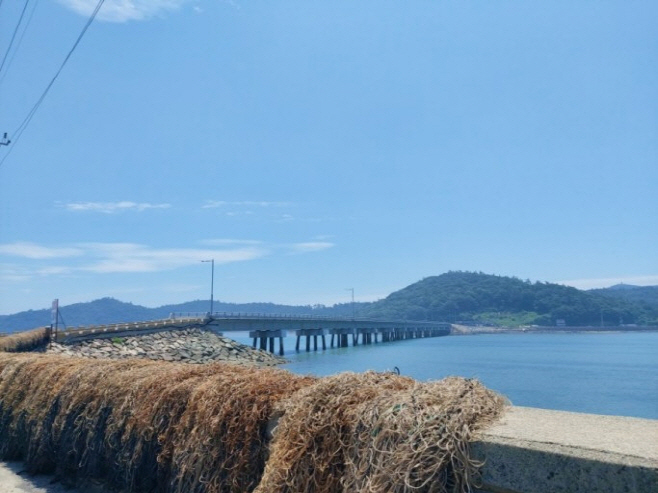 진도군
