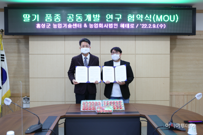 10일 (홍성군, 지역 딸기 차별화로 대외 경쟁력 강화!) 2