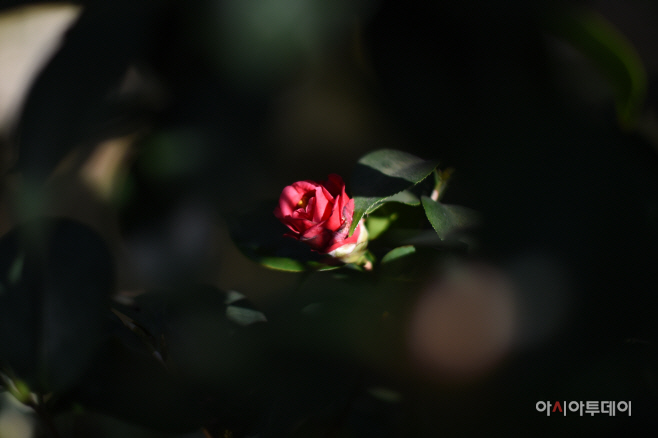 DSC_1507