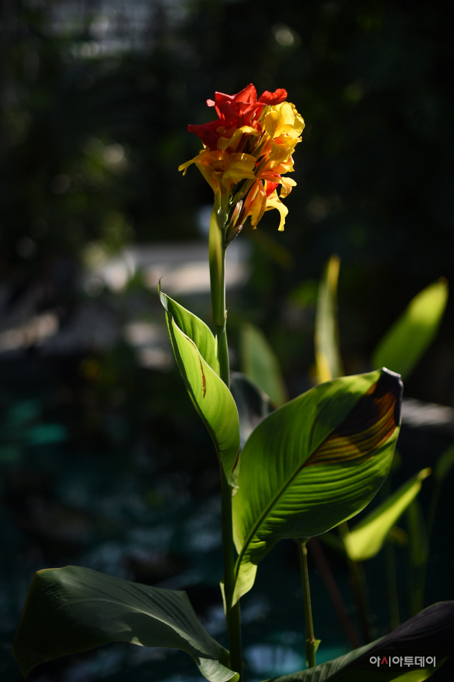 DSC_1428