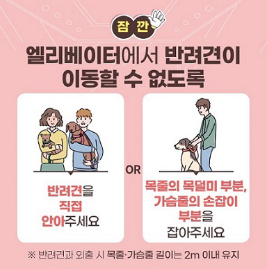 반려견