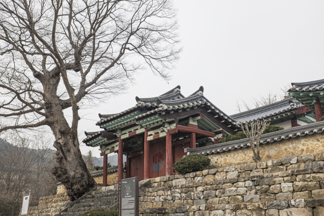 여행/ 대흥향교와 느티나무