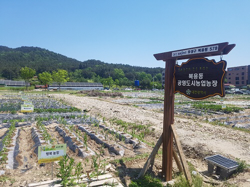 도심 속 텃밭 가꾸며
