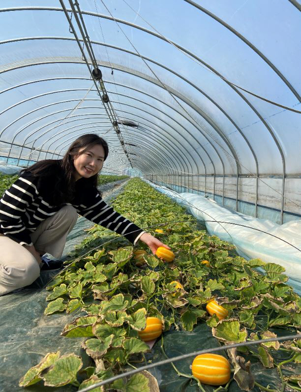 경산시- 2022년도 경산 '맛난' 참외 첫 출하
