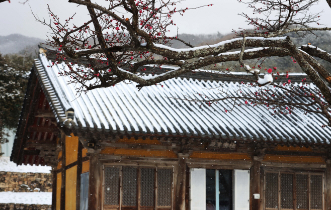 강진군