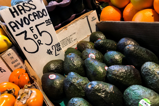 MEXICO-USA/AVOCADO