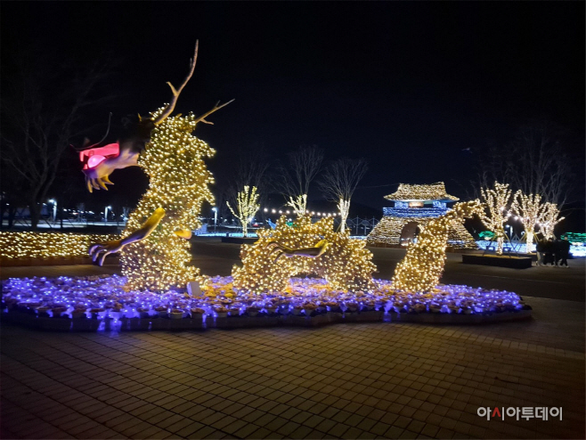 황산공원 불빛정원 연장3