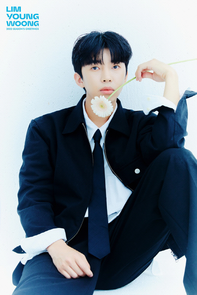 임영웅