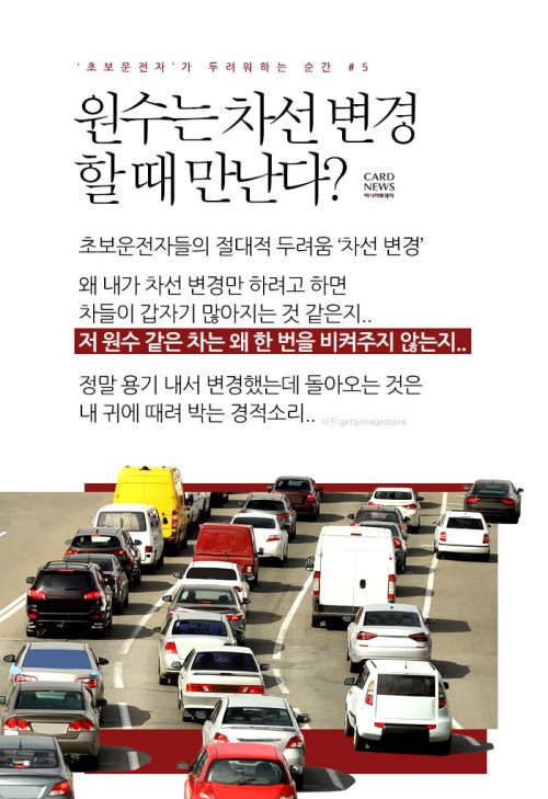 카드 뉴스 이미지