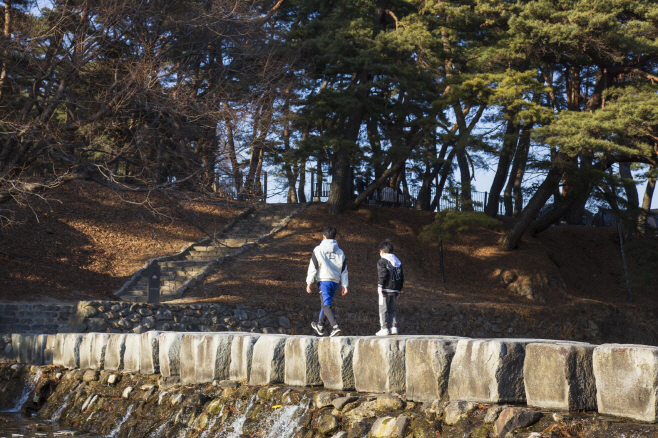 영주 1-3 취한대 앞 징검다리