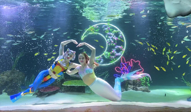 여행/ 아쿠아플라넷63