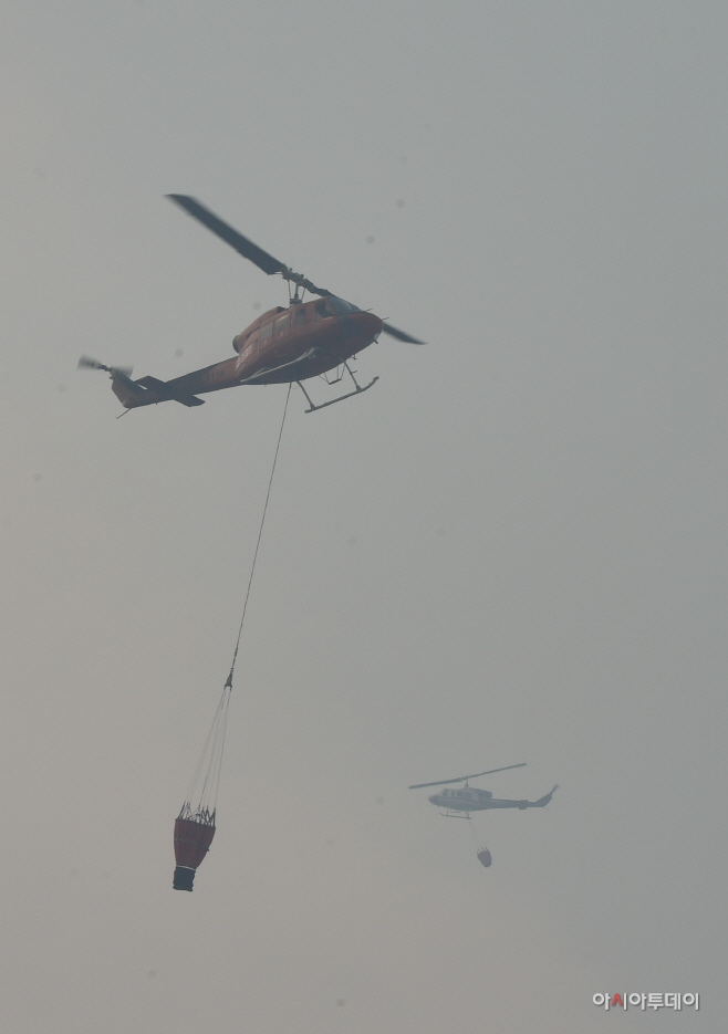 DSC_4550 사본