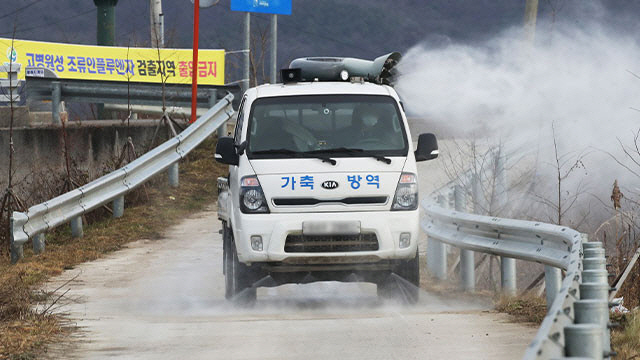 전남도