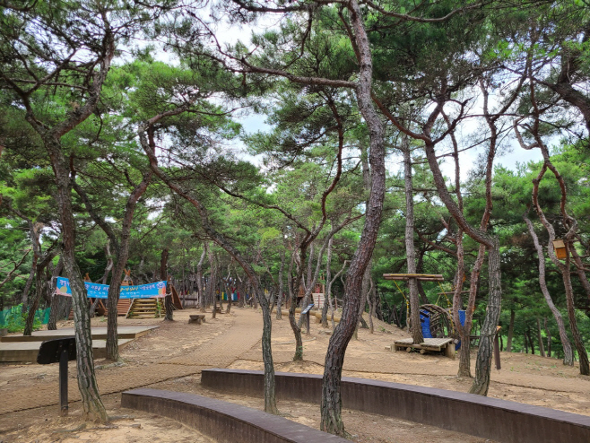 경산시- 경산시, 3월부터 유아숲체험원 2개소 위탁 운영(삼성현
