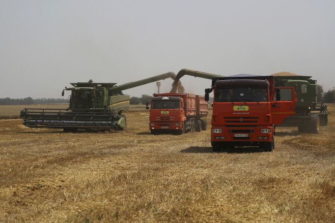 Russia Ukraine War Wheat