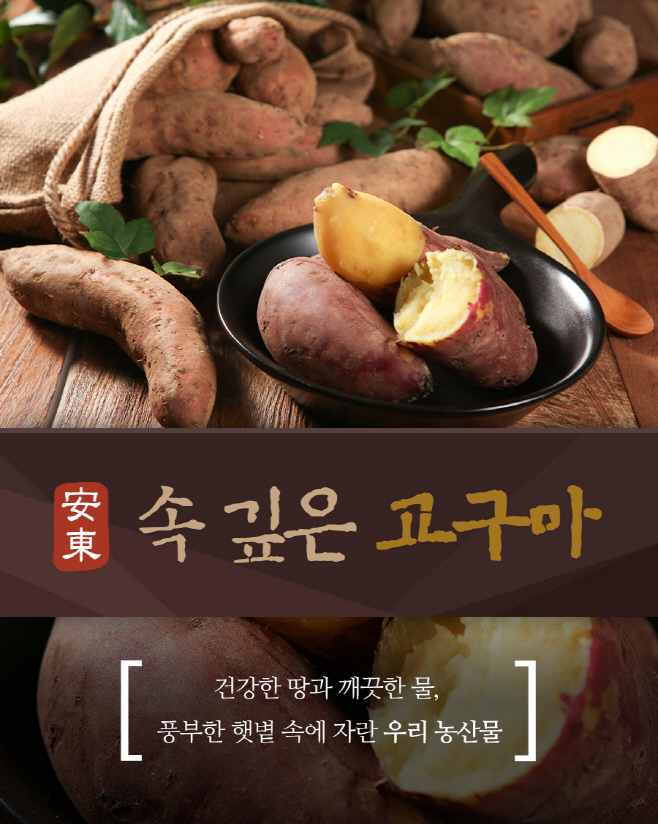 0309-1 속깊은 고구마 홍콩 수출길 올라 (1)